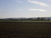 2012-04-12-004-Spring-Planting