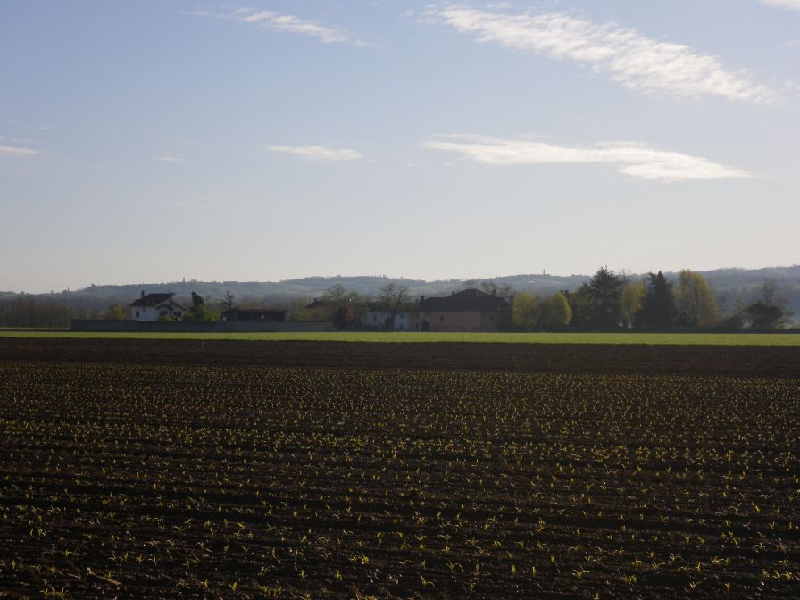 2012-04-12-004-Spring-Planting