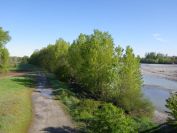 2012-04-12-009-Fiume-Scrivia