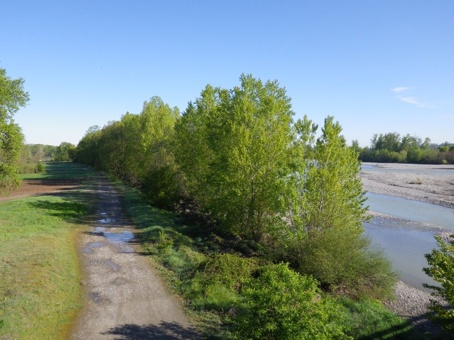 2012-04-12-009-Fiume-Scrivia