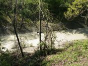 2012-04-12-017-Tributary-Stream