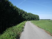 2012-06-05-005-Road-Closed-to-Traffic