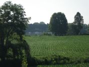 2012-06-05-012-River-Po