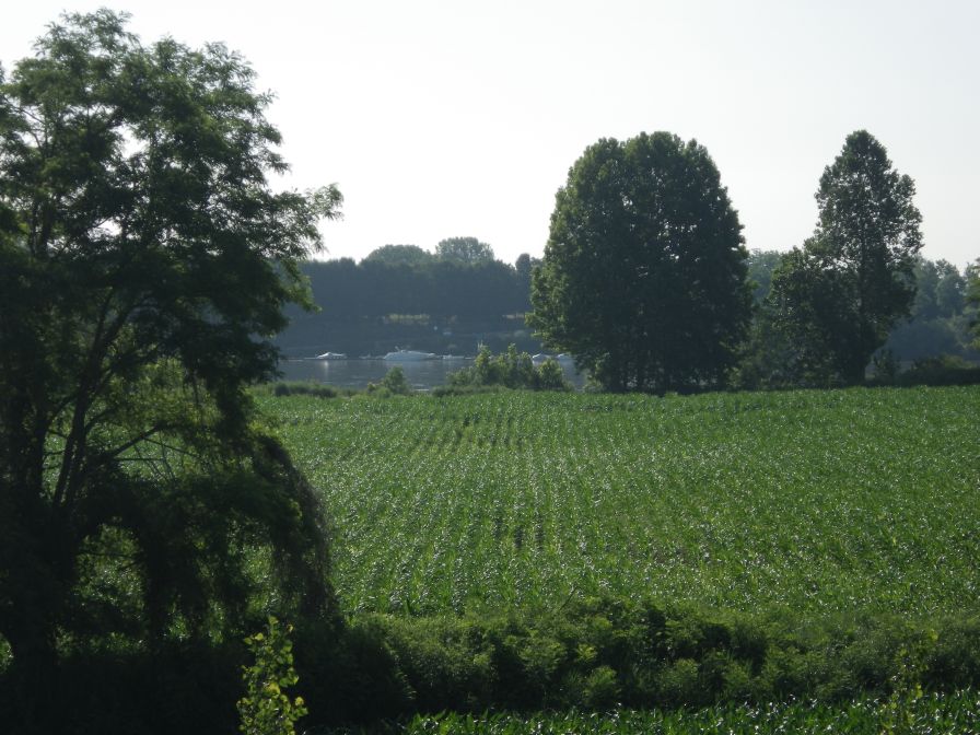 2012-06-05-012-River-Po