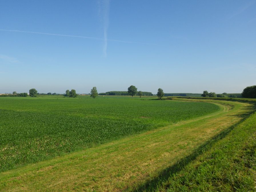 2012-06-05-013-Po-Valley