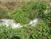 2012-06-05-031-Irrigation
