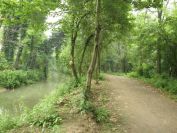 2012-06-08-011-Cremona-to-Brescia-Path