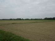 2012-06-07-009-The-Terrain
