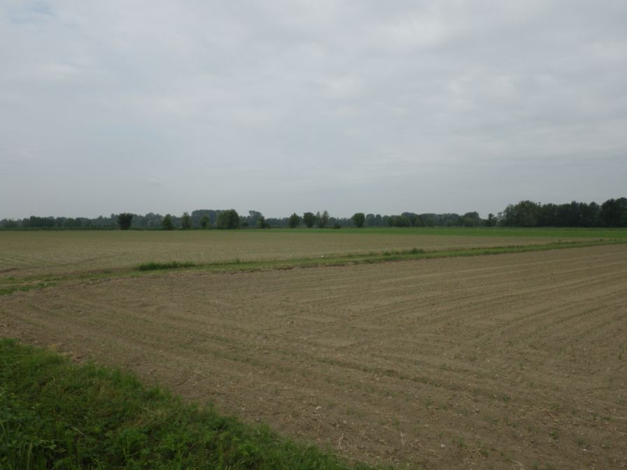 2012-06-07-009-The-Terrain