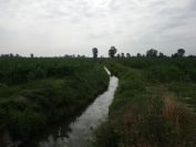 2012-06-07-010-The-Terrain