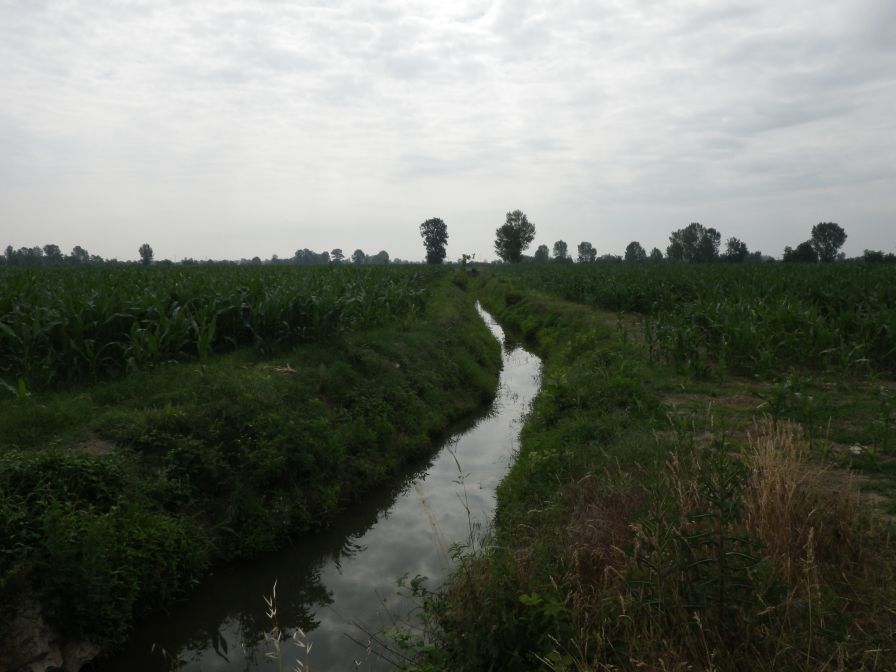 2012-06-07-010-The-Terrain