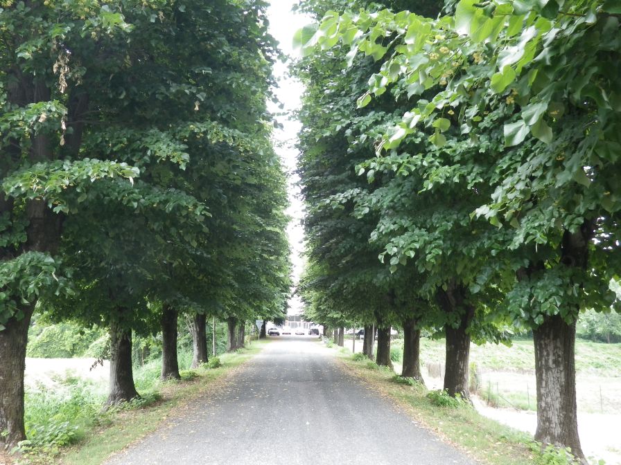 2012-06-07-018-Robecco-Station-Road