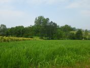 2012-06-03-003-River-Po-Valley