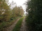 2013-10-27-003-The-Walk-Gets-Nice