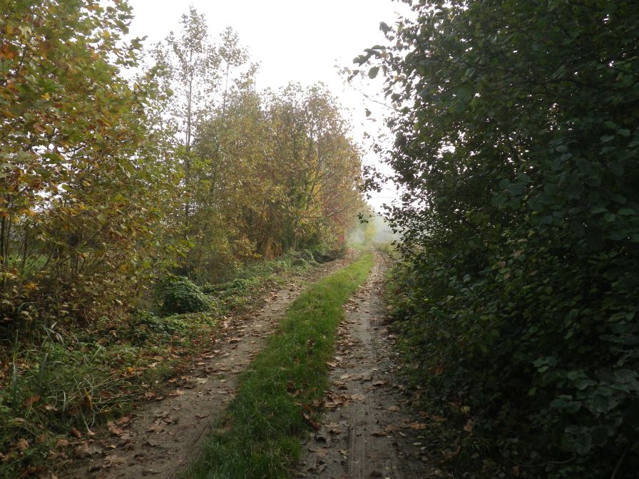 2013-10-27-003-The-Walk-Gets-Nice