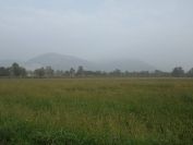 2013-10-27-004-Mists-and-Mellow-Fruit