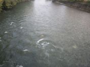 2013-10-27-011-Strong-Current