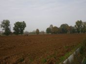 2013-10-27-014-Rural-Scene