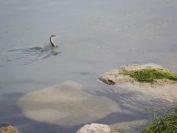 2013-10-28-010-Lake-Garda