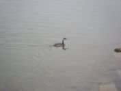 2013-10-28-011-Lake-Garda