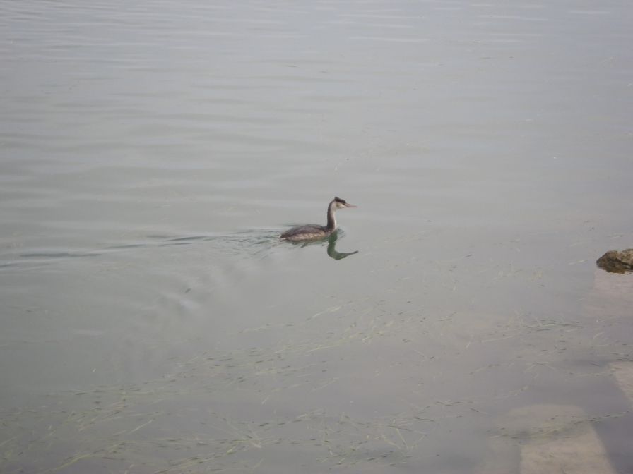 2013-10-28-011-Lake-Garda