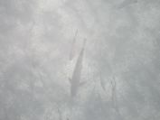 2013-10-28-021-Peschiera
