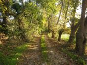 2013-10-31-004-Side-Road