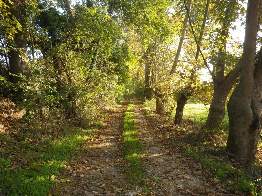2013-10-31-004-Side-Road
