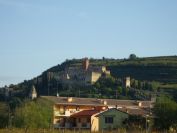 2013-10-31-006-Monteforte-D-Alpone