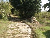 2013-10-31-012-Hill-Path