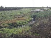 2013-10-31-019-Resting-Place