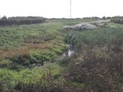 2013-10-31-020-Resting-Place