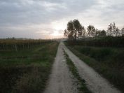2013-10-29-001-Short-Nice-Stretch