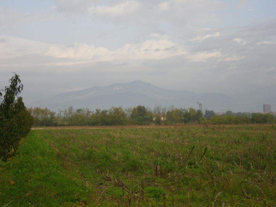 2013-10-29-004-Alpine-Foot-Hills