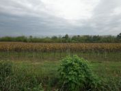 2013-10-30-010-Alps-in-the-Haze