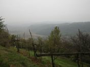 2013-11-02-009-Poor-Visibility
