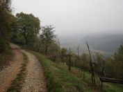 2013-11-02-010-Poor-Visibility